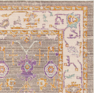 Safavieh Windsor WDS313G Grey/Cream Area Rug 