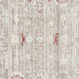 Safavieh Windsor WDS313T Light Grey/Ivory Area Rug 