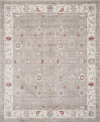 Safavieh Windsor WDS313T Light Grey/Ivory Area Rug main image