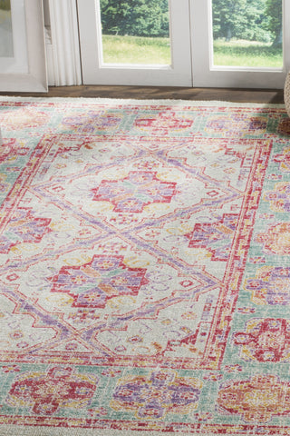 Safavieh Windsor WDS315S Spa/Fuchsia Area Rug 