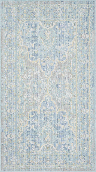 Safavieh Windsor WDS319H Seafoam/Blue Area Rug 