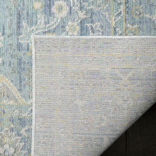 Safavieh Windsor WDS319H Seafoam/Blue Area Rug 