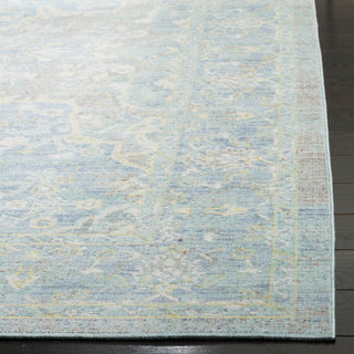 Safavieh Windsor WDS319H Seafoam/Blue Area Rug 