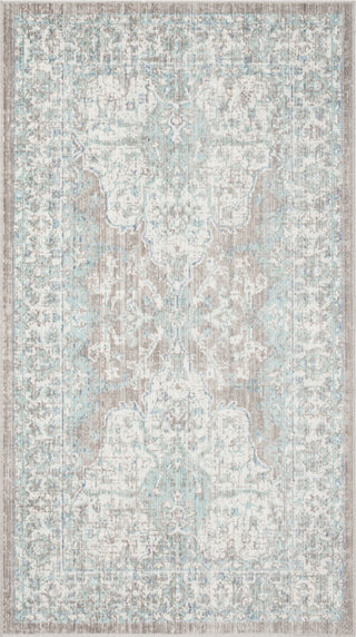 Safavieh Windsor WDS319L Light Grey/Aqua Area Rug 