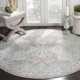 Safavieh Windsor WDS319L Light Grey/Aqua Area Rug  Feature