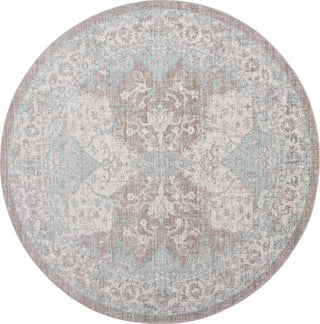 Safavieh Windsor WDS319L Light Grey/Aqua Area Rug 