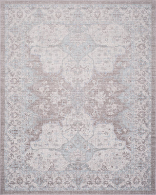 Safavieh Windsor WDS319L Light Grey/Aqua Area Rug main image