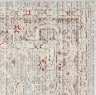 Safavieh Windsor WDS323T Light Grey/Brown Area Rug 