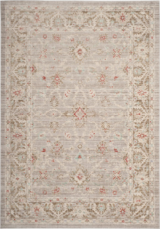 Safavieh Windsor WDS323T Light Grey/Brown Area Rug main image