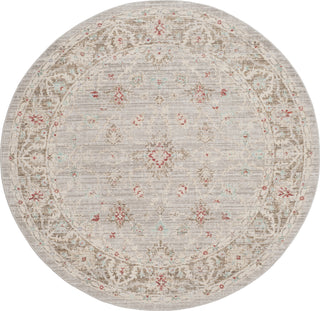 Safavieh Windsor WDS323T Light Grey/Brown Area Rug 