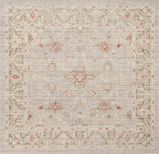 Safavieh Windsor WDS323T Light Grey/Brown Area Rug 