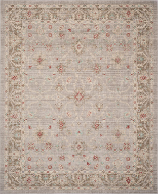 Safavieh Windsor WDS323T Light Grey/Brown Area Rug 