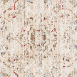 Safavieh Windsor WDS327G Ivory/Brown Area Rug 