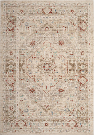 Safavieh Windsor WDS327G Ivory/Brown Area Rug main image