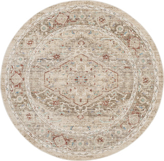 Safavieh Windsor WDS327G Ivory/Brown Area Rug 