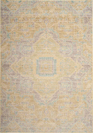 Safavieh Windsor WDS329E Light Grey/Lime Area Rug main image