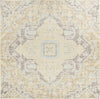 Safavieh Windsor WDS329E Light Grey/Lime Area Rug 
