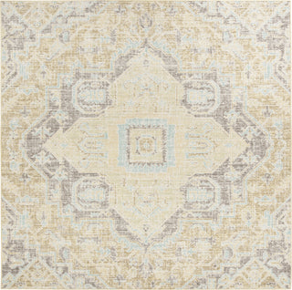 Safavieh Windsor WDS329E Light Grey/Lime Area Rug 