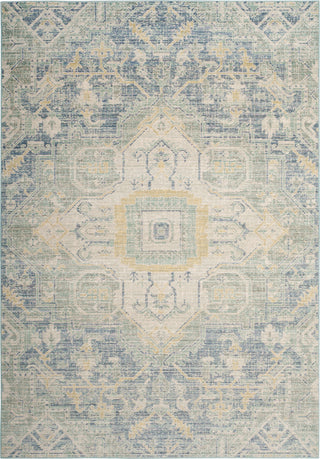 Safavieh Windsor WDS329J Blue/Lime Area Rug main image