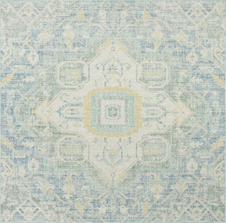 Safavieh Windsor WDS329J Blue/Lime Area Rug 