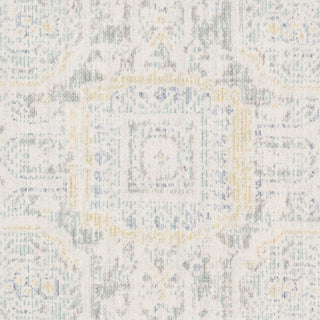 Safavieh Windsor WDS329L Light Grey/Seafoam Area Rug 