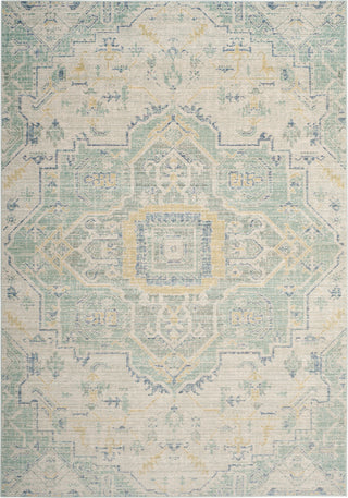 Safavieh Windsor WDS329L Light Grey/Seafoam Area Rug main image