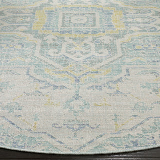 Safavieh Windsor WDS329L Light Grey/Seafoam Area Rug 