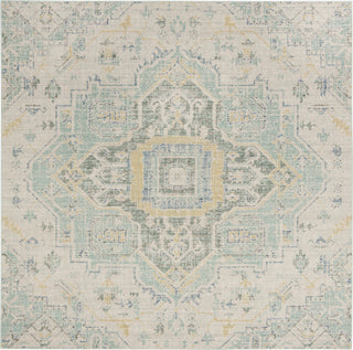 Safavieh Windsor WDS329L Light Grey/Seafoam Area Rug 