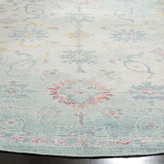 Safavieh Windsor WDS331J Seafoam/Blue Area Rug 