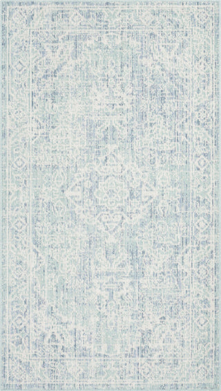 Safavieh Windsor WDS333J Seafoam/Blue Area Rug 