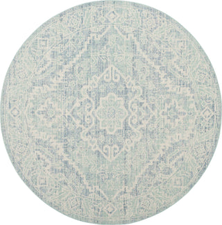 Safavieh Windsor WDS333J Seafoam/Blue Area Rug 