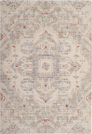 Safavieh Windsor WDS343G Light Grey/Ivory Area Rug main image