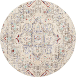 Safavieh Windsor WDS343G Light Grey/Ivory Area Rug 