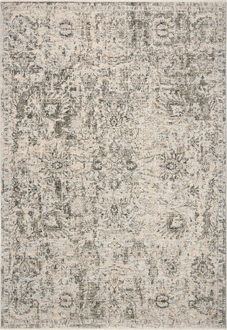 Safavieh Winston WNT194A Beige/Grey Area Rug main image