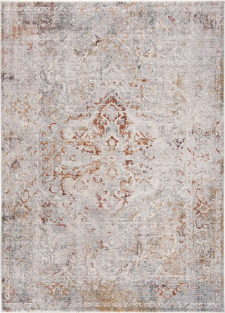 Safavieh Winston WNT349F Grey/Silver Area Rug main image