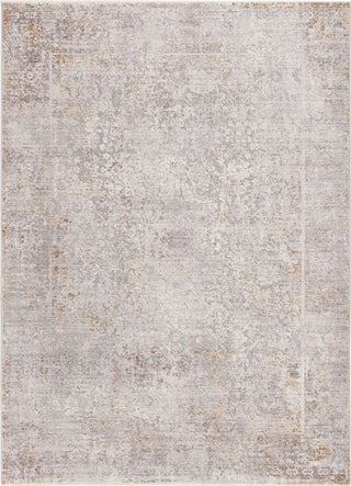 Safavieh Winston WNT350F Grey/Cream Area Rug main image