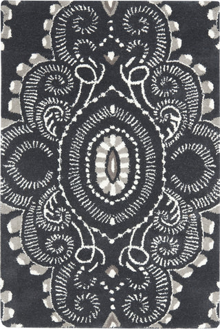 Safavieh Wyndham Amiya Dark Grey/Ivory Area Rug main image