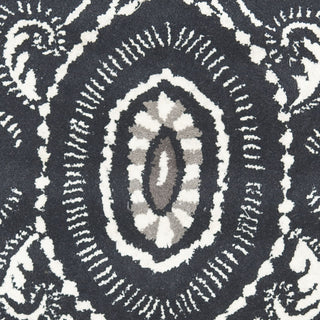 Safavieh Wyndham Amiya Dark Grey/Ivory Area Rug 