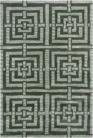 Safavieh Wyndham Euclid Sage Area Rug Main