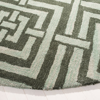 Safavieh Wyndham Euclid Sage Area Rug Detail