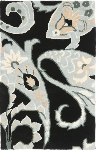 Safavieh Wyndham Nimes Paisley Black/Multi Area Rug main image