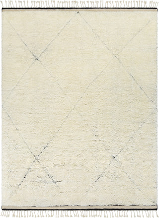 Surya Sahara SAH-2302 Area Rug