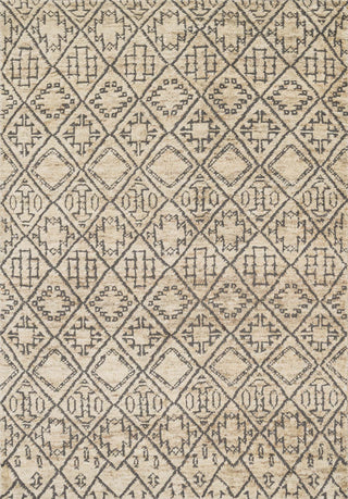 Loloi Sahara SJ-03 Sand Area Rug Main Image