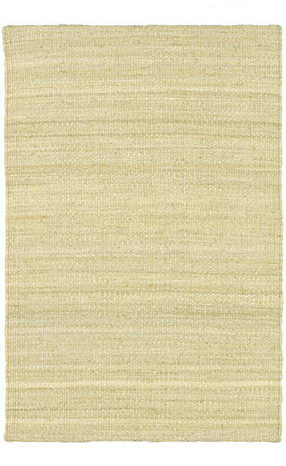 Chandra Saket SAK-3702 Tan Area Rug main image