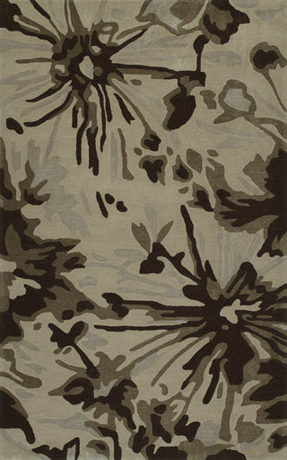 Dalyn Santino SO44 TAUPE Area Rug main image