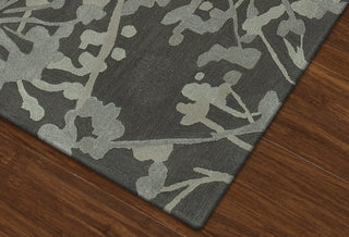 Dalyn Santino SO54 GRAPHITE Area Rug Close up