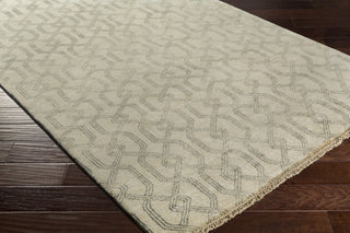 Surya Stanton SAO-2006 Area Rug by DwellStudio Corner Shot Feature