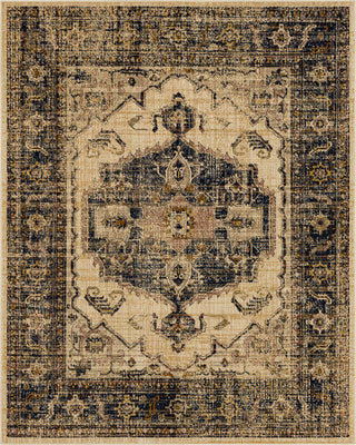 Karastan Bedouin Sarkar Navy Area Rug main image