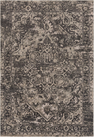 Surya Stardust SAS-1000 Black Khaki Dark Brown Ivory Area Rug main image