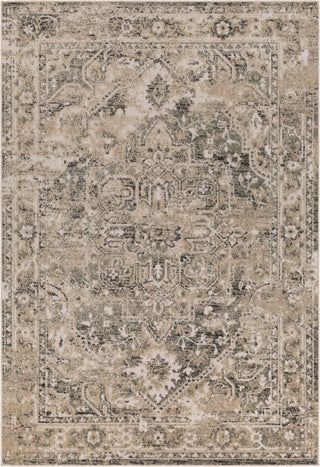 Surya Stardust SAS-1001 Khaki Black Dark Brown Ivory Area Rug main image